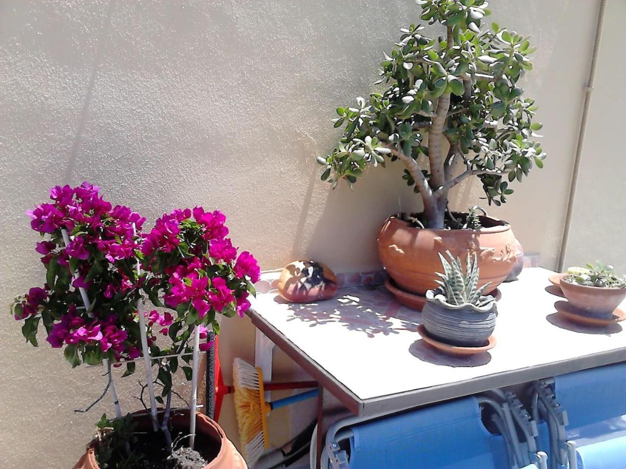 Park House -Beside The Medieval Town Of Rhodes Rhodes City 外观 照片